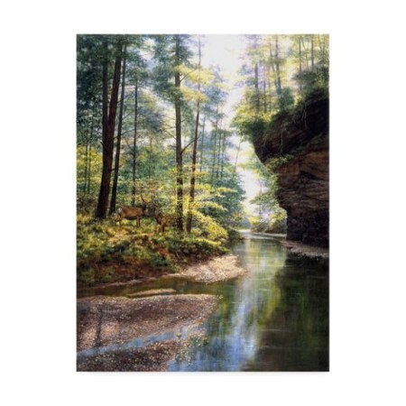 Trademark Fine Art Bill Makinson 'Quiet Forest' Canvas Art, 24x32